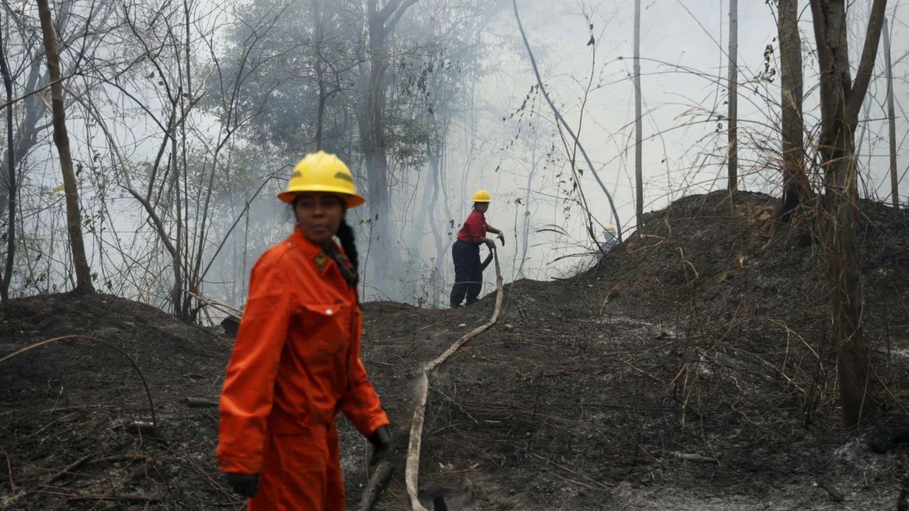 Venezuela se enfrenta a incendios forestales sin precedentes agravados por la sequía de la Amazonia